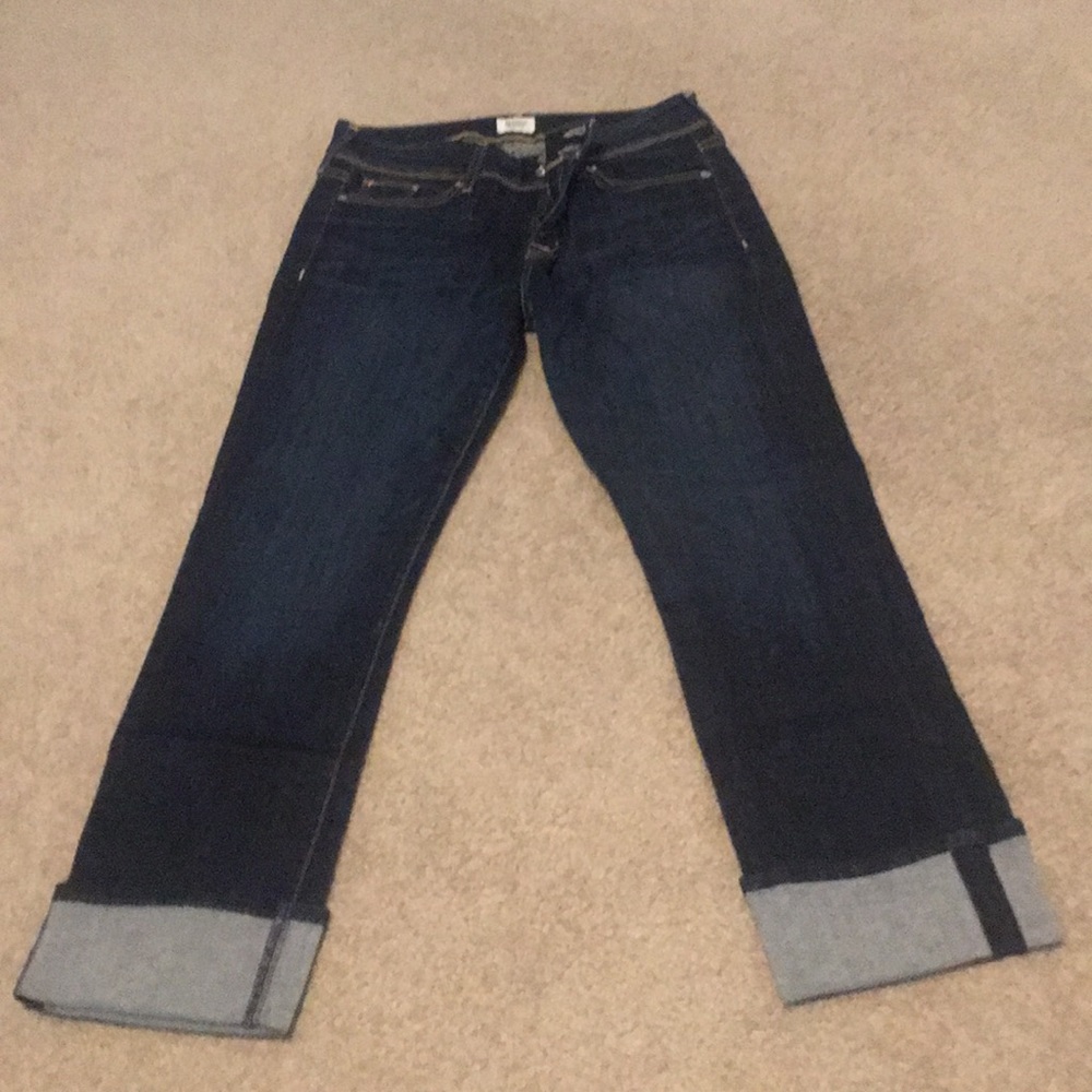 Hudson Ginny Crop